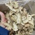 当归片甘肃岷县大片无硫当归头片常年大货批发24小时发货