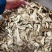 当归片甘肃岷县大片无硫当归头片常年大货批发24小时发货