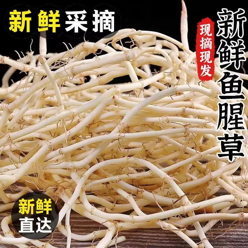 精品节节根，大量有货供应，对接各大市场商超电商