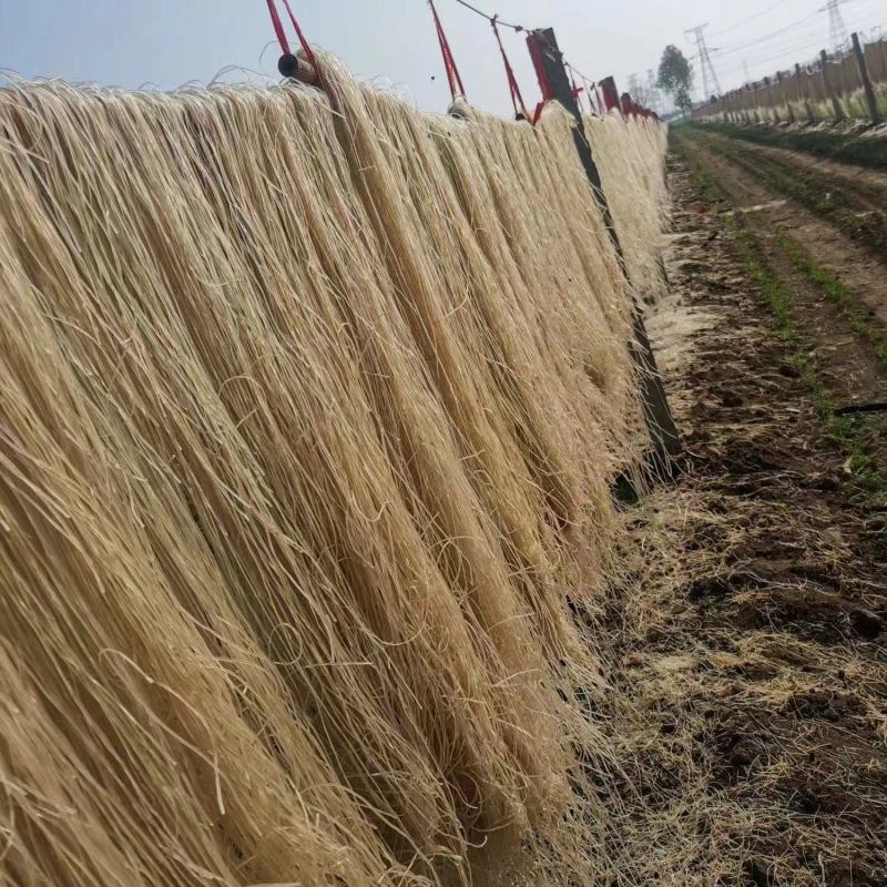 红薯粉条自己种植自己加工品质您放心致电有优惠