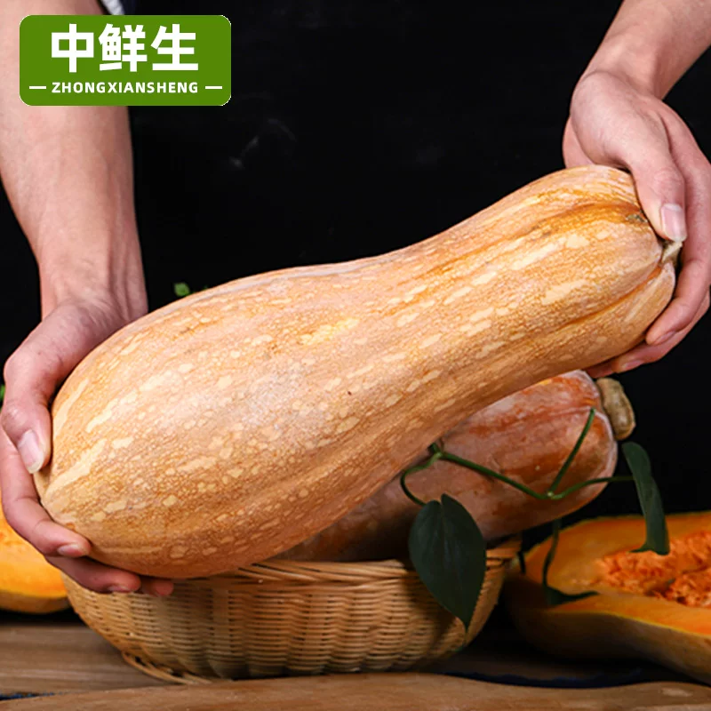 精品老南瓜，大量有货供应，对接各大市场商超电商