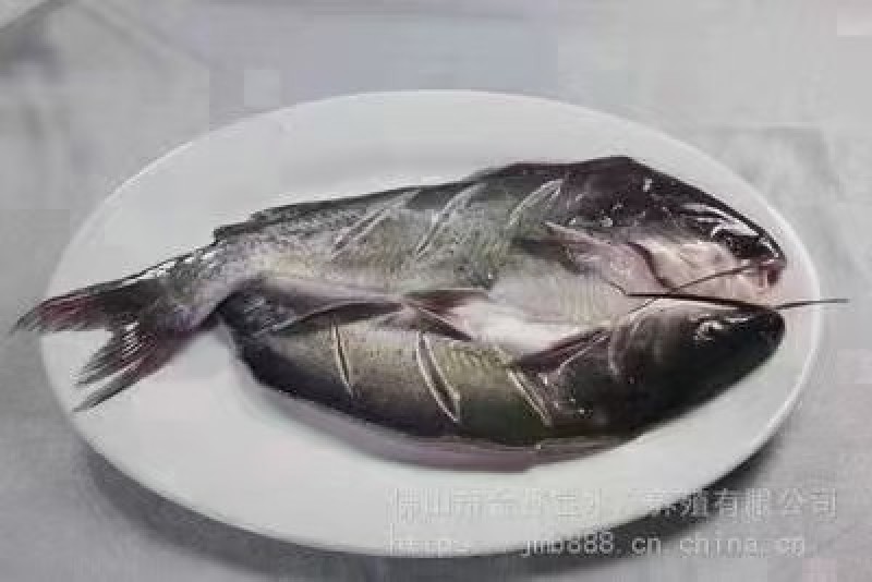 清江鱼开背去脏独立包装，工厂直销