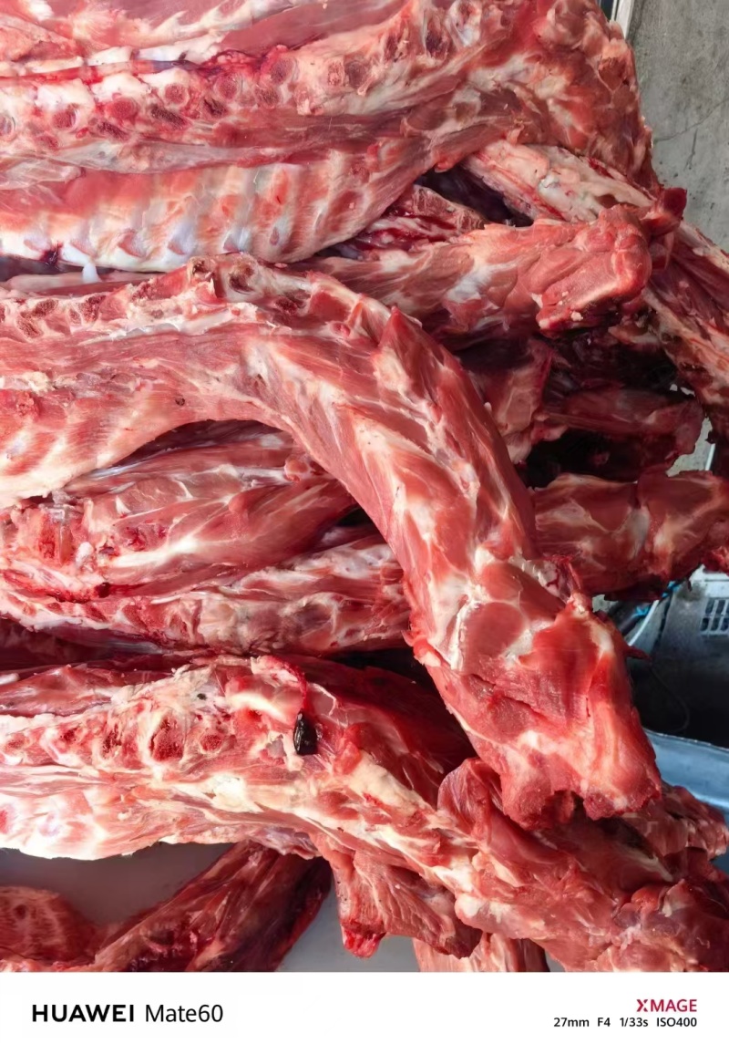 满肉羊蝎子