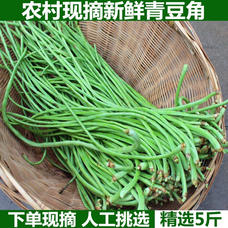 精品缸豆，大量有货供应，对接各大市场商超电商