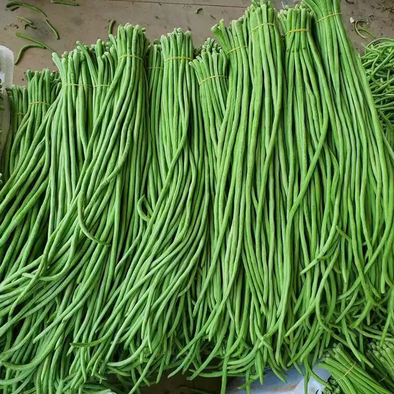 精品缸豆，大量有货供应，对接各大市场商超电商