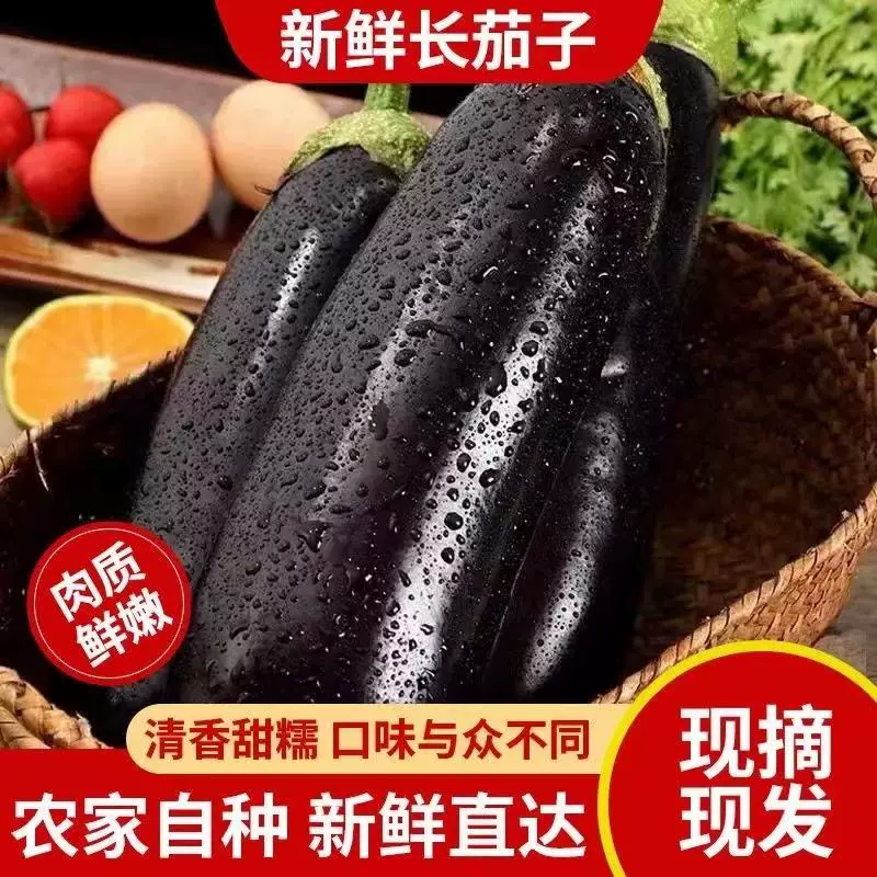 精品黑茄子，大量供应，对接各大市场商超电商。