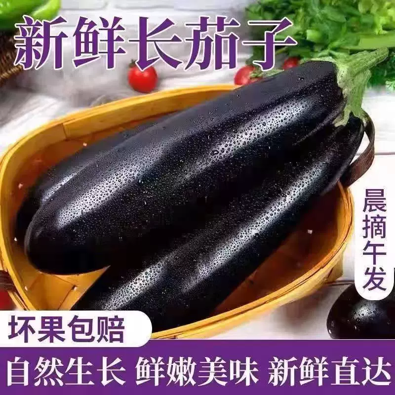 精品黑茄子，大量供应，对接各大市场商超电商。