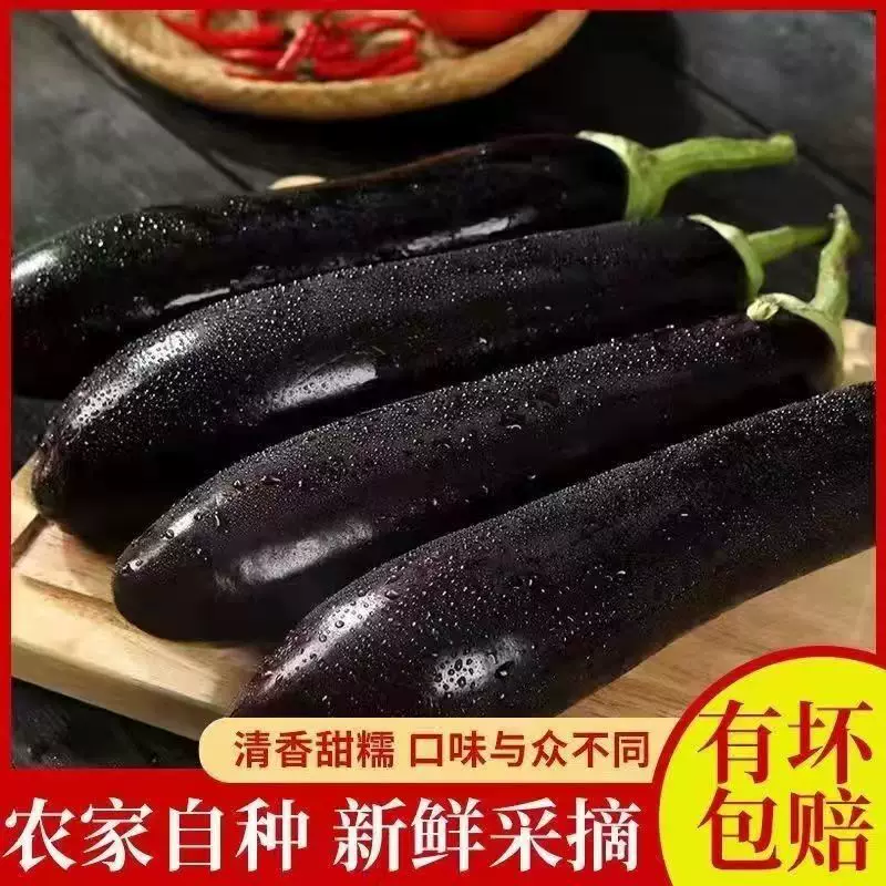 精品黑茄子，大量供应，对接各大市场商超电商。