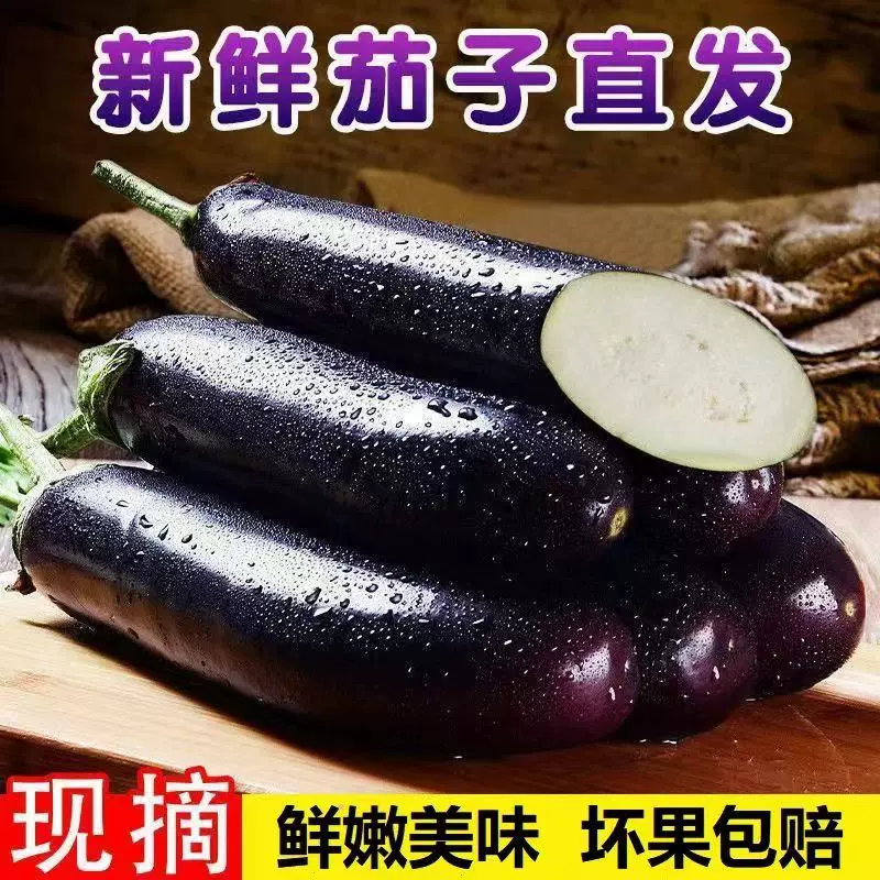 精品黑茄子，大量供应，对接各大市场商超电商。