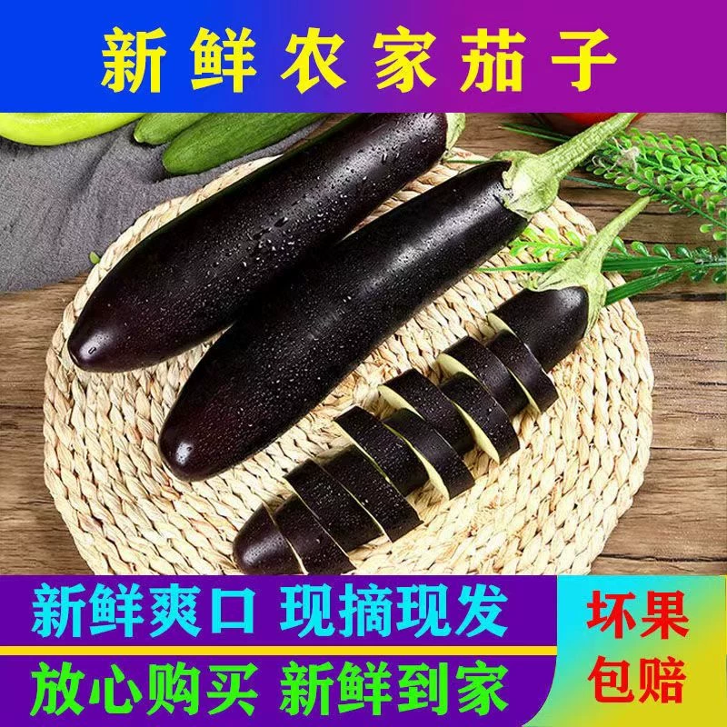 精品黑茄子，大量供应，对接各大市场商超电商。
