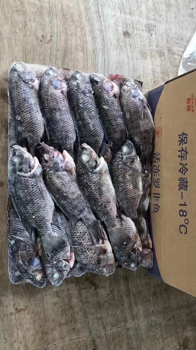 罗非鱼散装精品干冰，大小规格都有，工厂直销