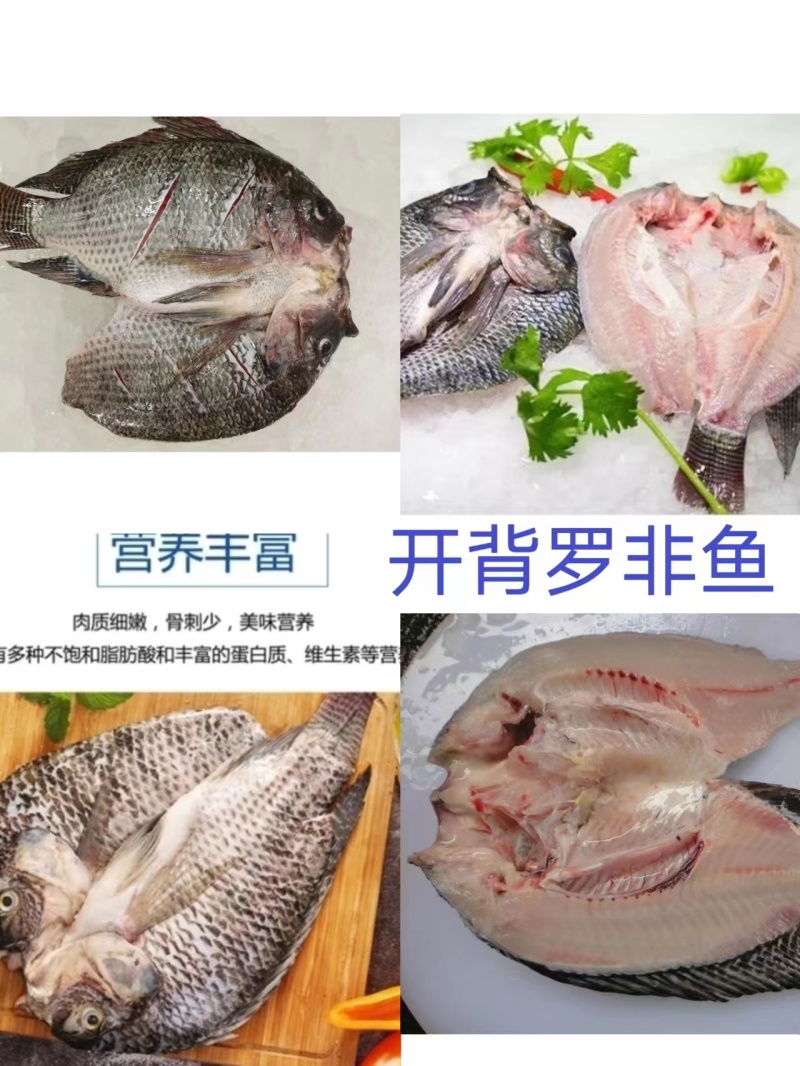 罗非鱼散装精品干冰，大小规格都有，工厂直销