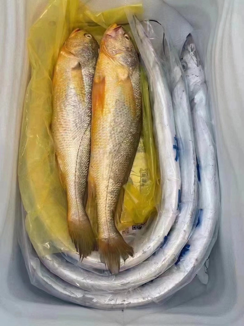 海鲜大礼包可以一件代发，码头直销