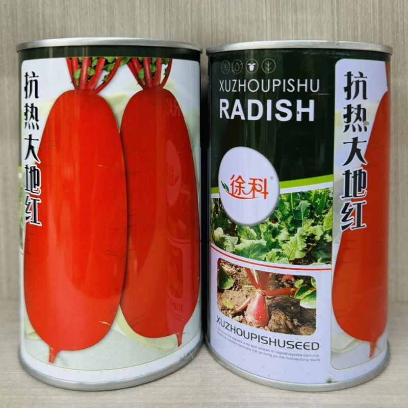 红萝卜种子红萝卜籽红皮白肉成都满身红萝卜耐热春秋播种