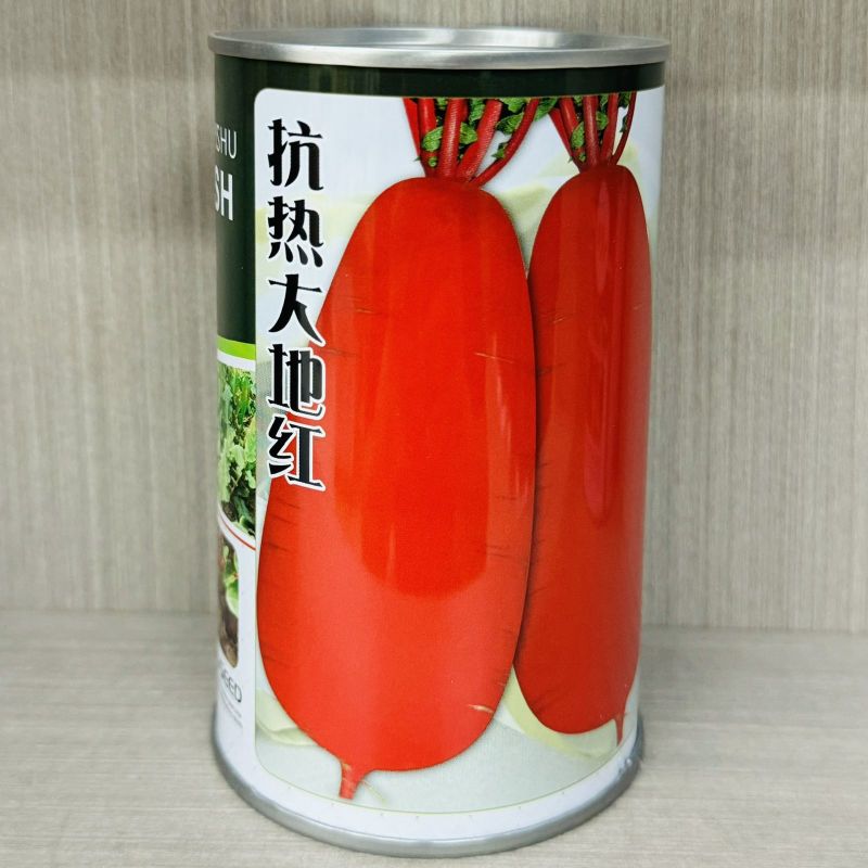 红萝卜种子红萝卜籽红皮白肉成都满身红萝卜耐热春秋播种