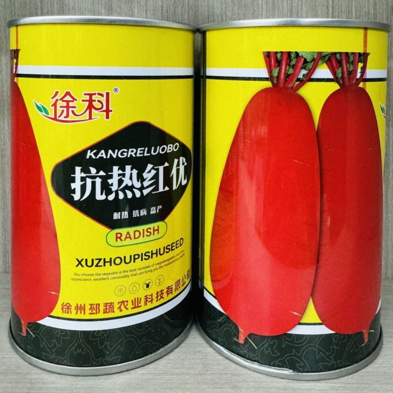 红萝卜种子红萝卜籽红皮白肉成都满身红萝卜耐热春秋播种