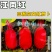 江南红三系杂交红萝卜种子生长期约45天左右板叶红皮白肉萝