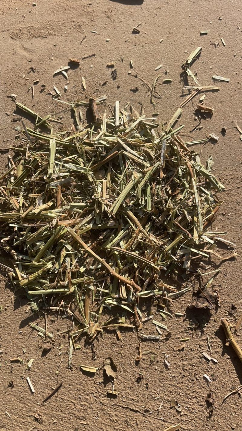 纯花生秧子，产地售后，价格合理，质量保证，无霉变