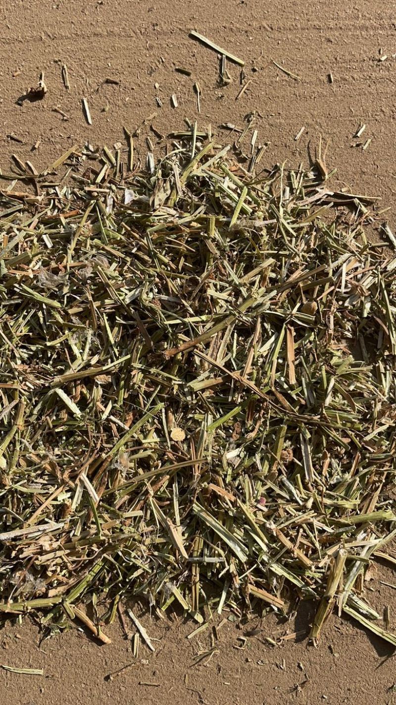 纯花生秧子，产地售后，价格合理，质量保证，无霉变