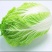 东台黄心白菜，货量充足，品质保证，诚信经营，欢迎客商来电