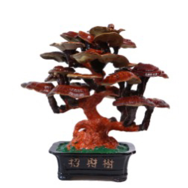 【山东冠县】灵芝盆景规格多样种类繁多大小均有