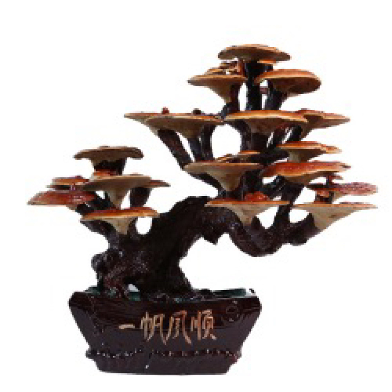 【山东冠县】灵芝盆景规格多样种类繁多大小均有