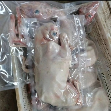 真空包装3到5斤，乳羊羔，常年有货，保质保量，有意者联系