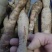 野生牛大力45一斤20斤起批