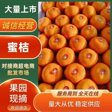 蜜桔果型扁平皮薄多汁入口化渣欢迎定购
