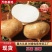 凉薯/豆薯《湖北地瓜》对接电商！市场！工厂！产地直销！