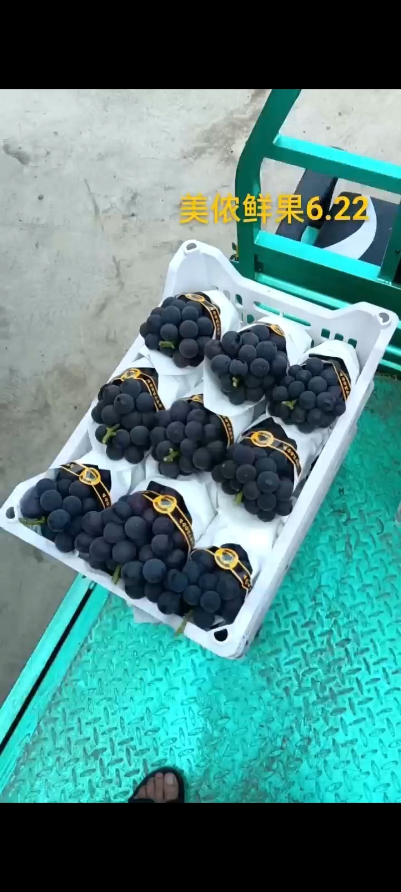 巨峰葡萄硬枝巨峰葡萄硬梗巨峰葡萄一手货源产地直发冷库仓储