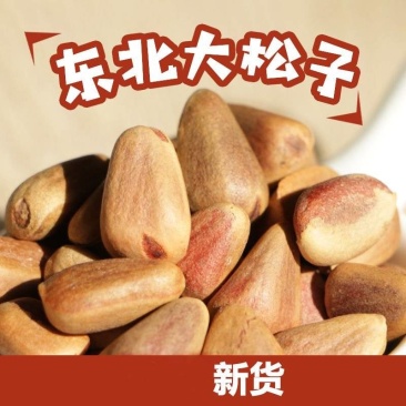 东北红松子生松子新鲜松塔脱粒松子生松籽