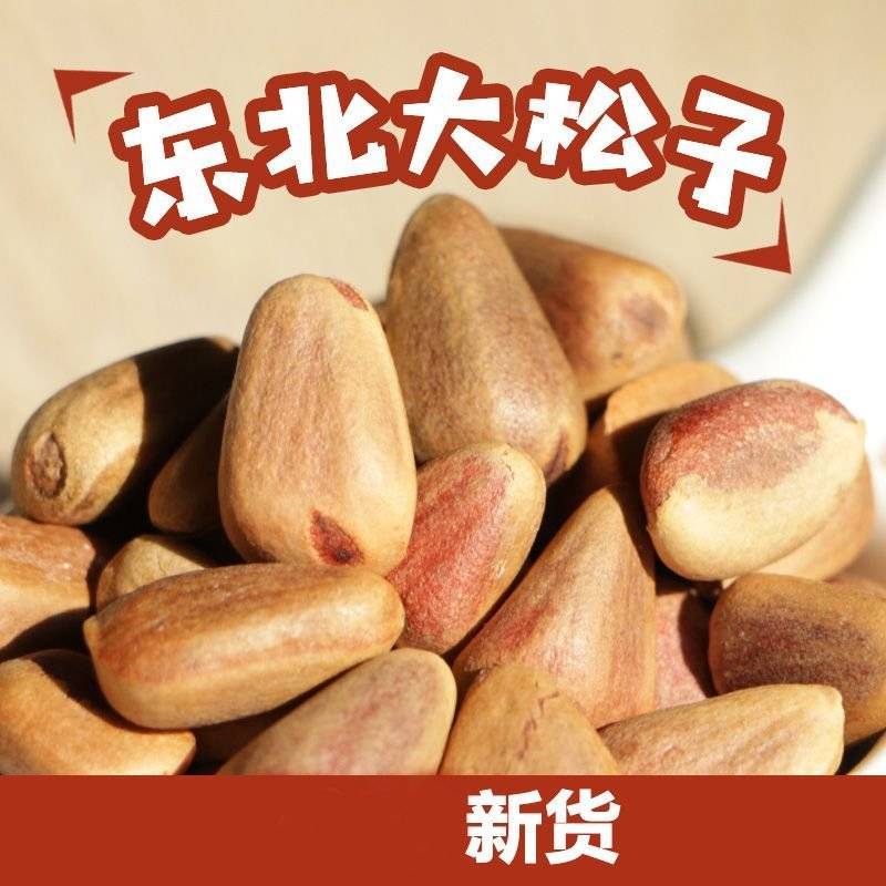 东北红松子生松子新鲜松塔脱粒松子生松籽