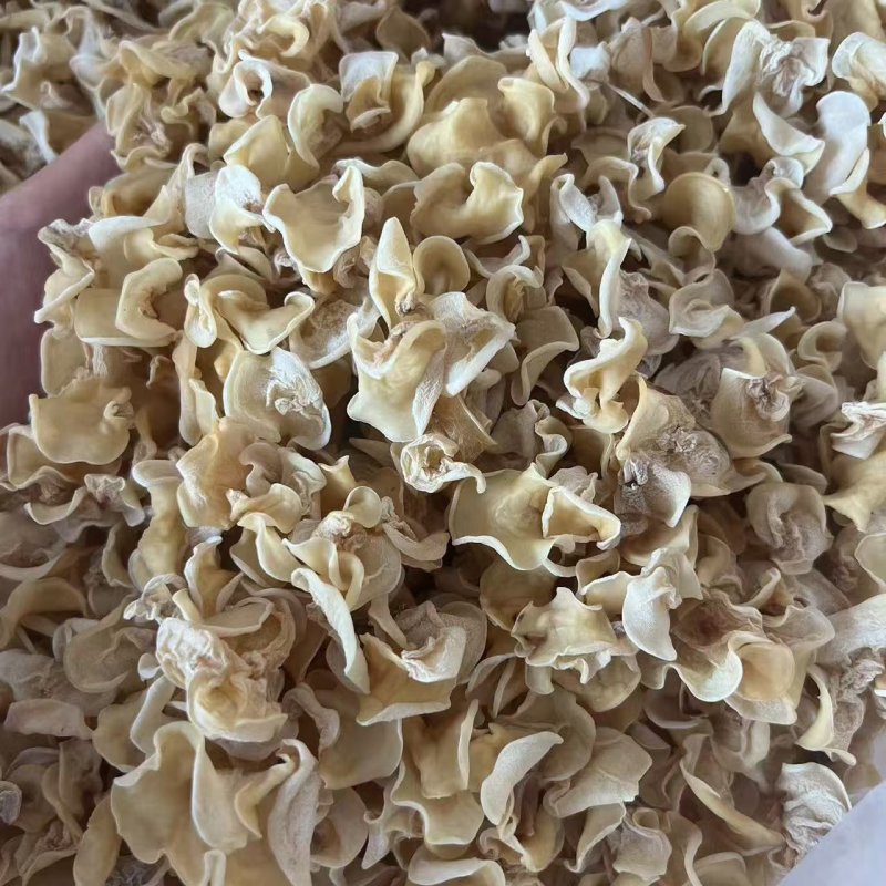 白玉木耳，产地直销玉木耳，地摊电商用自玉木耳