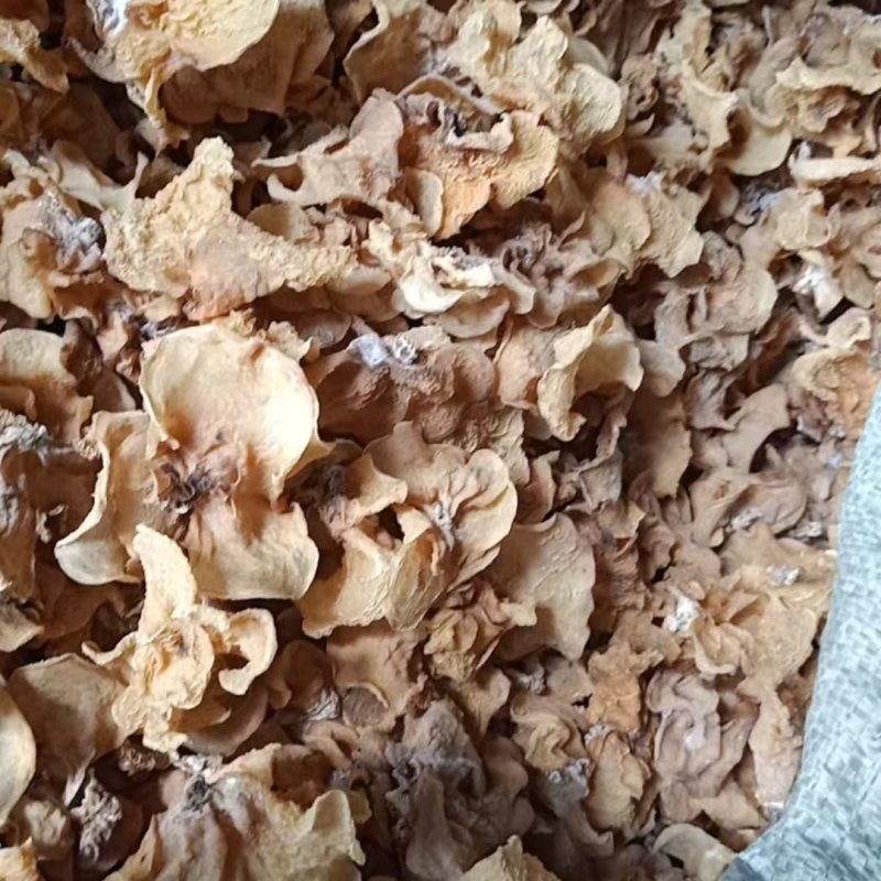 产地直销沙耳，代购代存羊肚耳，电商地摊专用沙耳