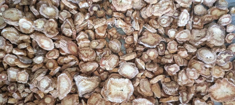 防风切片产地甘肃纯无硫新货批发