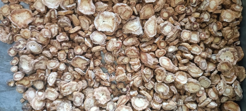 防风切片产地甘肃纯无硫新货批发