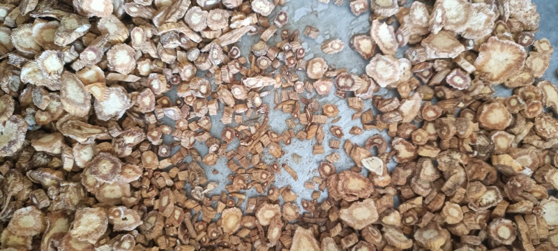防风切片产地甘肃纯无硫新货批发