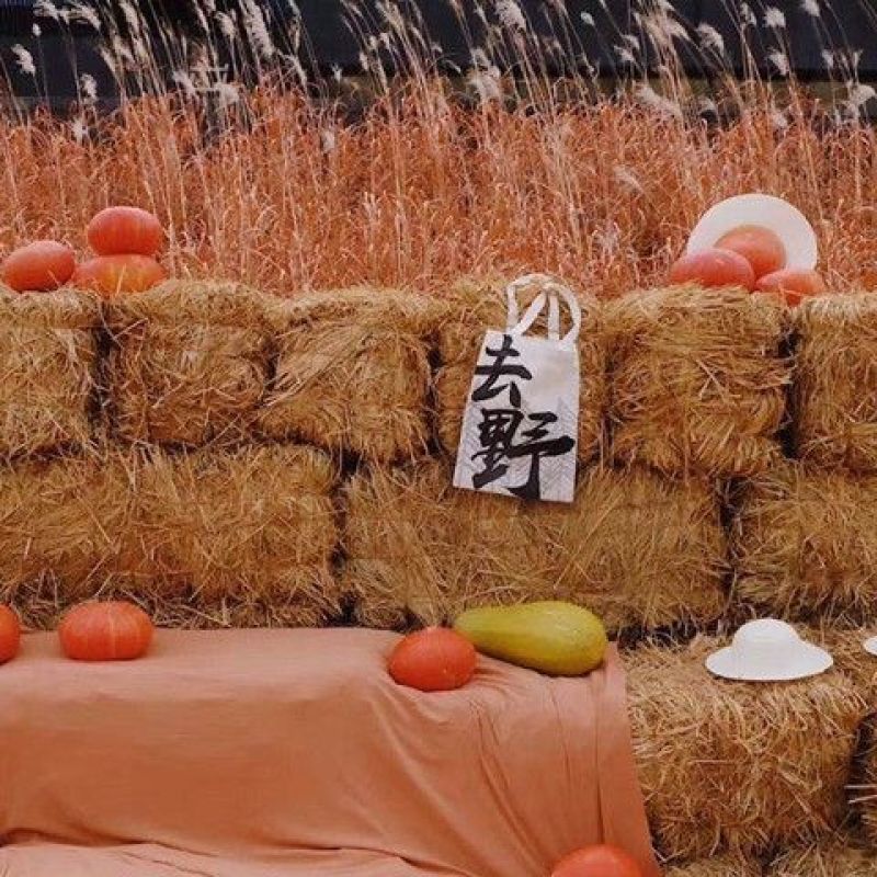 草垛干稻草农家乐稻草装饰干稻草方形圆形草垛子拍摄道具草垛