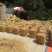 草垛干稻草农家乐稻草装饰干稻草方形圆形草垛子拍摄道具草垛