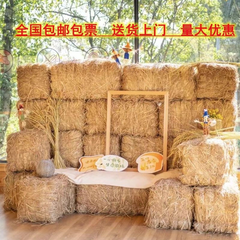 草垛干稻草农家乐稻草装饰干稻草方形圆形草垛子拍摄道具草垛