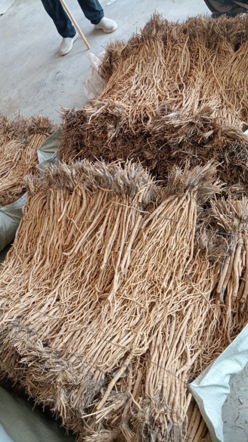 最近关防风持续缓慢涨价。纯无硫