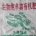 河北精品羊粪袋装自己养殖场品质保证量大从优欢迎联