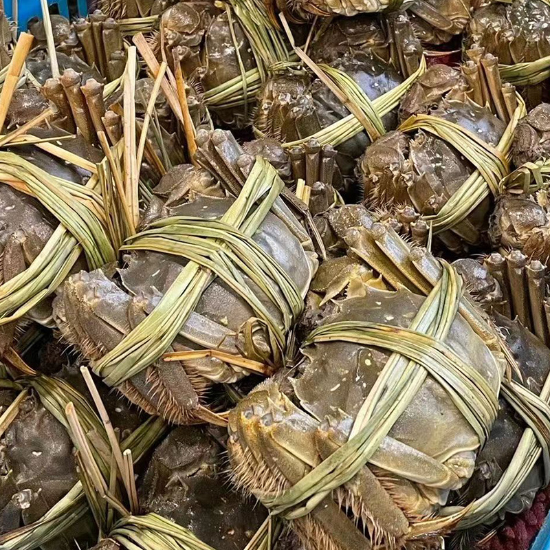 苏州精品大闸蟹批发、团购代发，酒店，蟹侬自产自销，散装