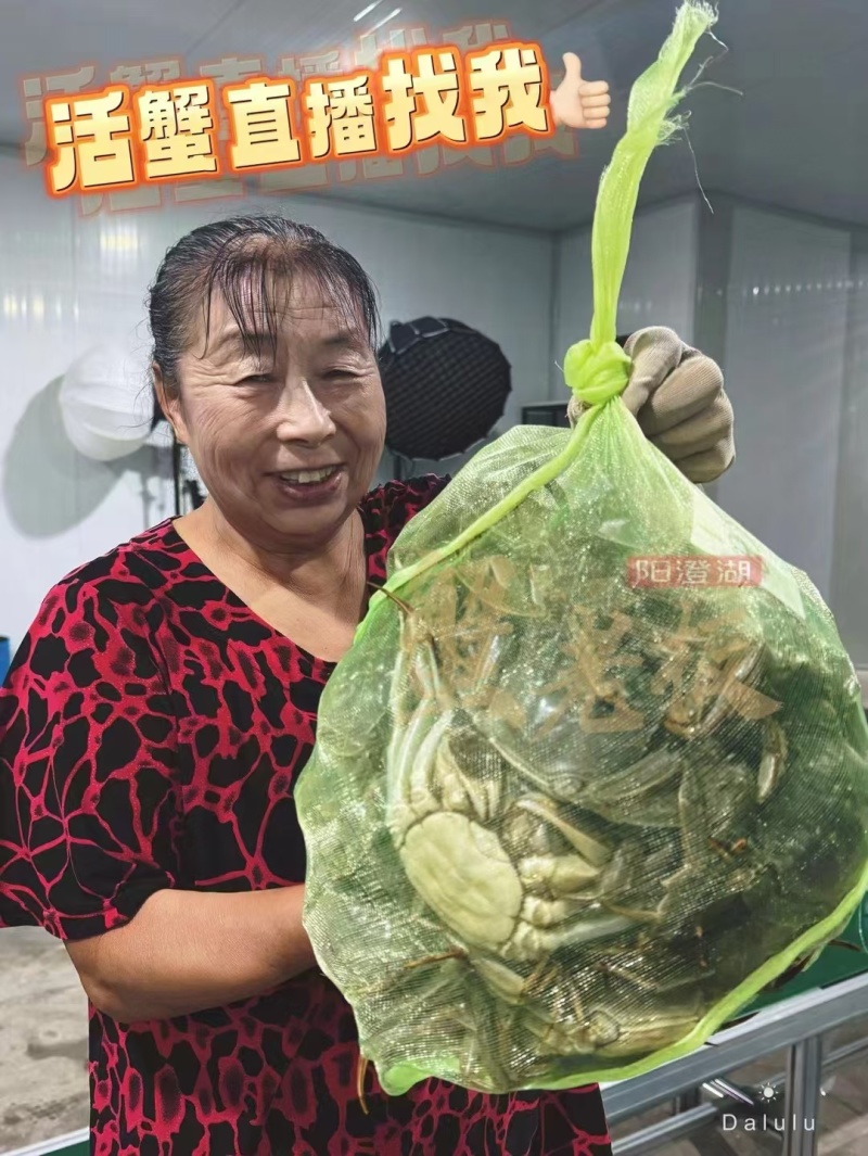 苏州精品大闸蟹批发、团购代发，酒店，蟹侬自产自销，散装