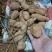 金果榄(地苦胆)块茎（鲜货）