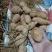 金果榄(地苦胆)块茎（鲜货）