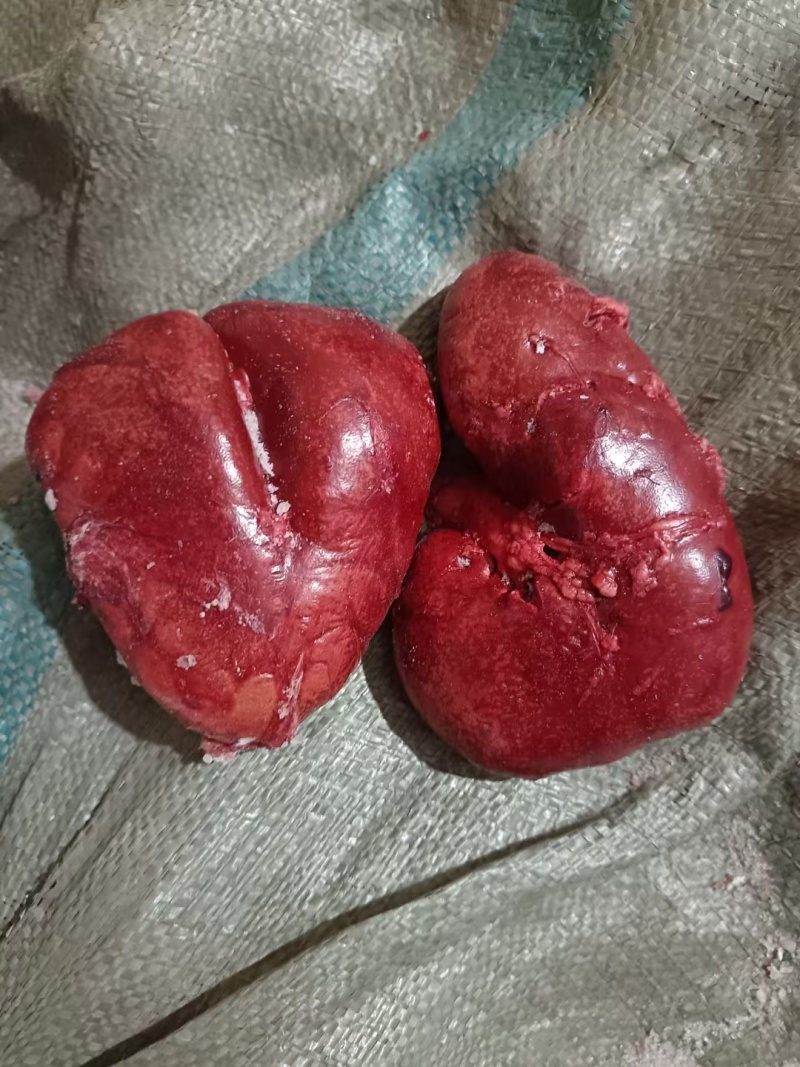 驴腰子