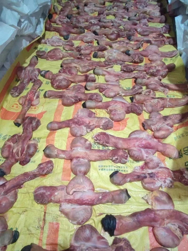 驴鞭
