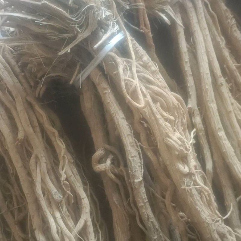 精品防风产地直发甘肃道地药材保真保量欢迎选购